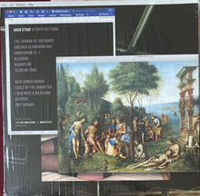 Load image into Gallery viewer, Arab Strap - As Days Get Dark (LP)
