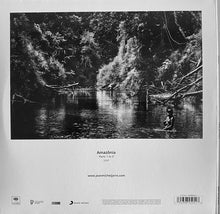 Load image into Gallery viewer, Jean-Michel Jarre - Amazonia (2xLPs)
