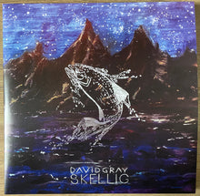 Load image into Gallery viewer, David Gray - Skellig (LP)
