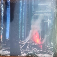 Load image into Gallery viewer, Mountain Goats - Dark In Here (2-LP)
