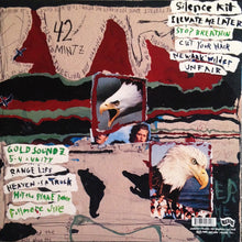 Load image into Gallery viewer, Pavement - Crooked Rain, Crooked Rain  (LP)
