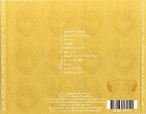 Sharon Van Etten - Because I Was In Love (LP)