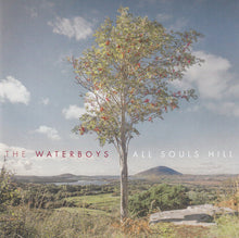 Load image into Gallery viewer, The Waterboys - All Souls Hill (LP)
