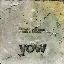 Load image into Gallery viewer, Yow, David - Tonight You Look Like A Spider  (LP)
