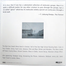 Load image into Gallery viewer, The Mountain Goats - All Hail West Texas (LP)
