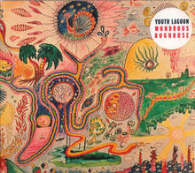 Load image into Gallery viewer, Youth Lagoon - Wondrous Bughouse  (LP)
