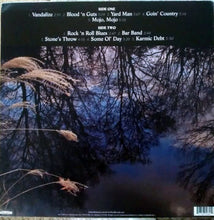 Load image into Gallery viewer, Luther Dickinson - Rock 'n Roll Blues  (LP)
