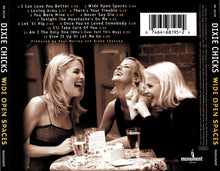 Load image into Gallery viewer, The Chicks - Wide Open Spaces  (LP)
