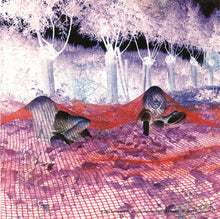 Load image into Gallery viewer, Sonic Youth - Murray Street  (LP)
