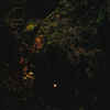 Baptists-Bloodmines LP