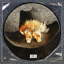 Load image into Gallery viewer, Winter, Johnny-Step Back (pic disc)
