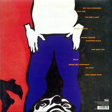 Load image into Gallery viewer, Pavement - Terror Twilight (LP)
