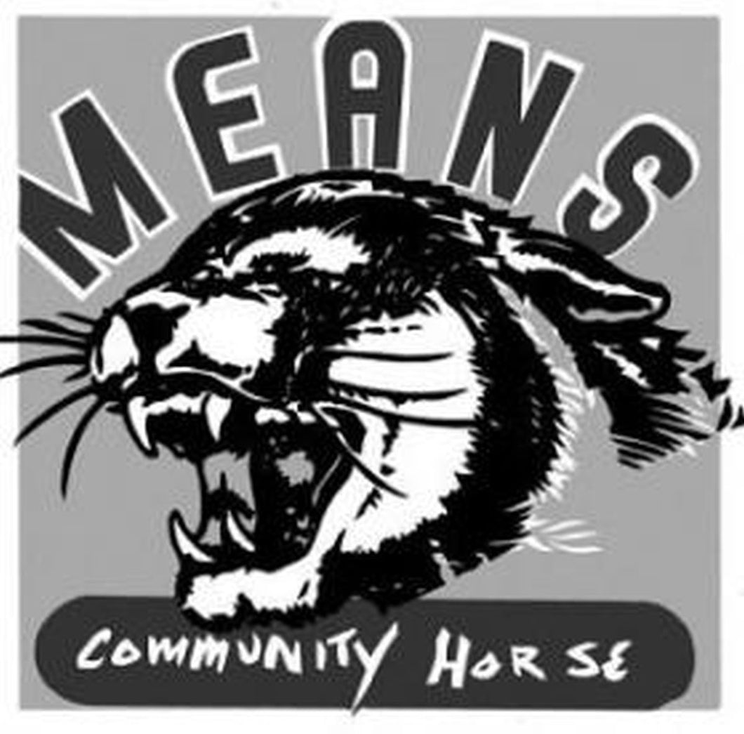 Means-Community Horse