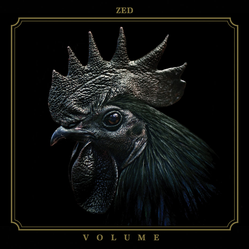 Zed-Volume