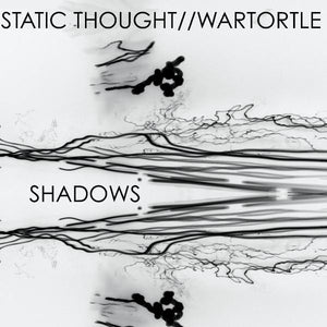 Static Thought & Wartortle-Shadows