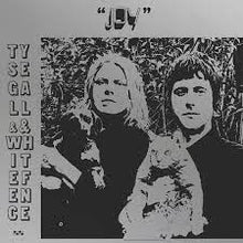 Load image into Gallery viewer, Ty Segall - Joy
