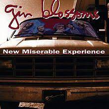 Load image into Gallery viewer, Gin Blossoms - New Miserable Experience
