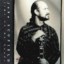 Load image into Gallery viewer, John Scofield - Time On My Hands(Lp)
