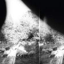Load image into Gallery viewer, Godspeed You Black Emperor - Asunder, Sweet And Other Distress (180g)
