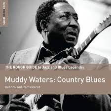 COMPILATION ROUGH GUIDE TO MUDDY WATERS - COUNTRY BLUES (DOWNLOAD CARD) (RSD)