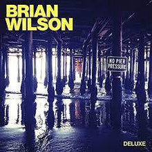 Load image into Gallery viewer, Wilson, Brian - No Pier Pressure (2LP)
