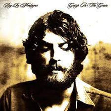 Load image into Gallery viewer, Ray Lamontagne - Gossip In The Grain (LP)
