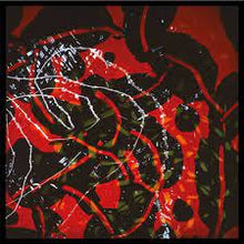 Load image into Gallery viewer, Brain Eno - Nerve Net (REISSUES/2LP)
