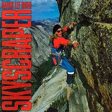 Load image into Gallery viewer, David Lee Roth - Skyscraper
