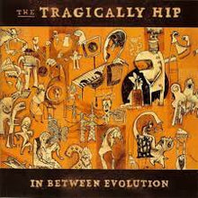 Load image into Gallery viewer, The Tragically Hip - In Between Evolution (Lp)
