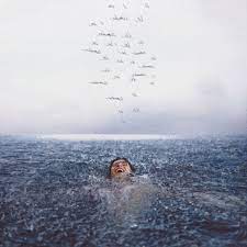 Shawn Mendes - WONDER(BLACK LP)