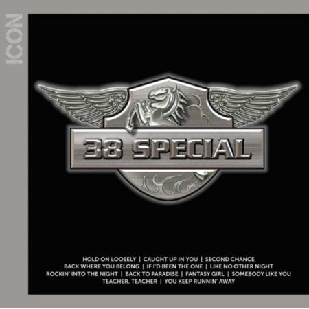 38 SPECIAL ICON